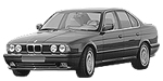 BMW E34 P1225 Fault Code